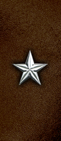 Star Silver-Brown